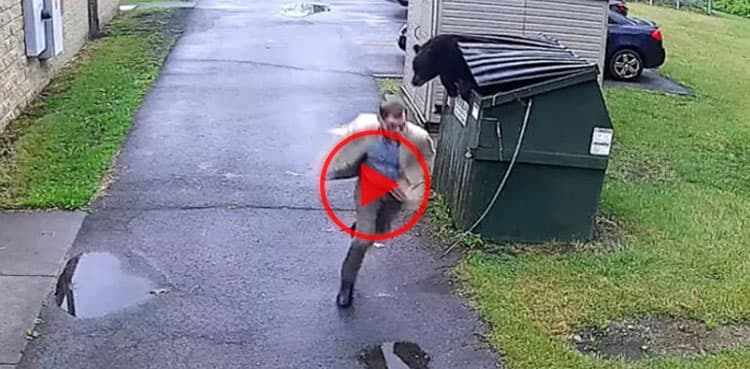 School principal faces bear, video goes viral