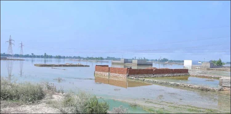 Sutlej in medium flood at Ganda Singh, Sulemanki headworks