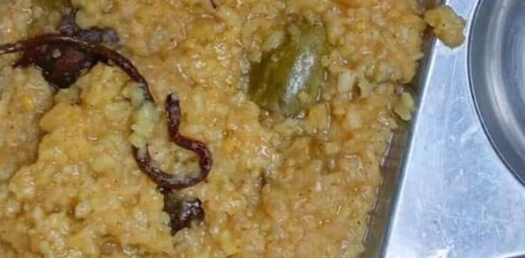 School students hospitalized after eating meal with "snake" in it