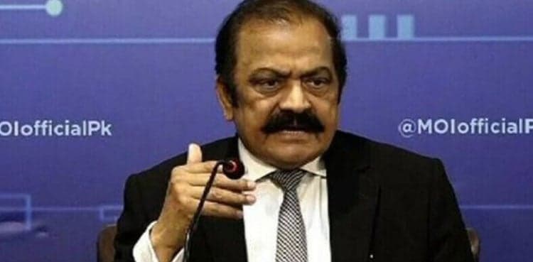 Rana Sanaullah claims PML-N to win election 2024 with clear majority