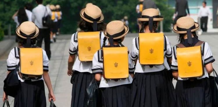 Japan sees record drop in population