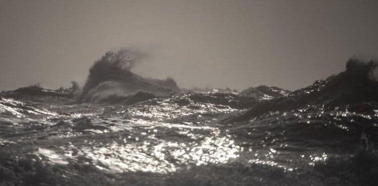 N. Atlantic ocean temperature sets record high: US agency