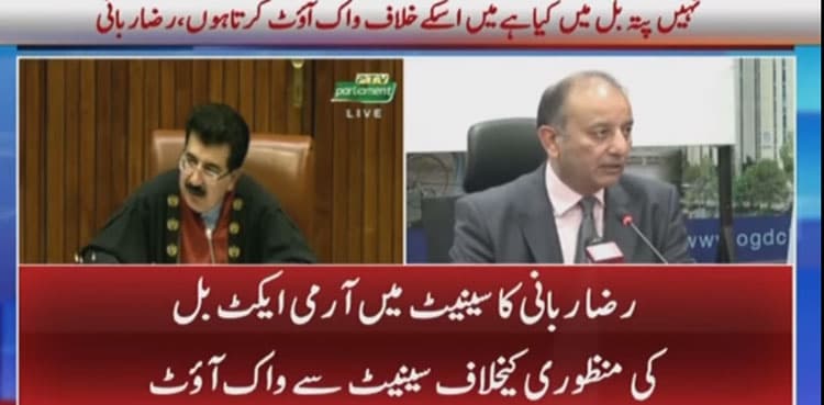 Raza Rabbani opposes Army Act Amendment bill