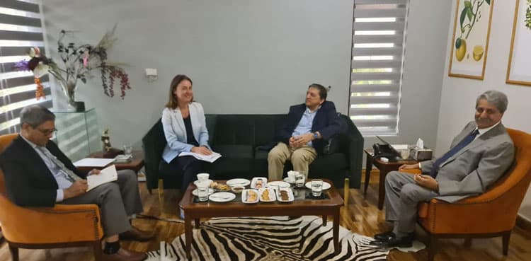 IMF officials meet PPP’s economic team on bailout deal