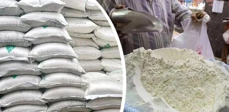 PM Shehbaz orders wheat supply to KP via PASSCO