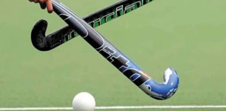 PM Shehbaz Sharif orders inquiry into PHF matters