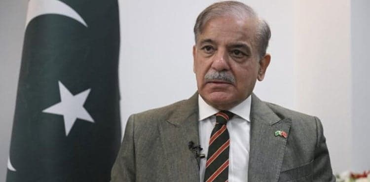 PM Shehbaz reacts to SC Bhutto case verdict