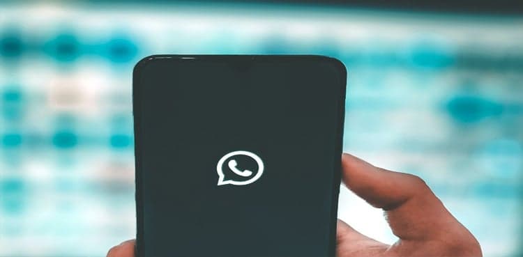 WhatsApp: Here's how you can create a channel