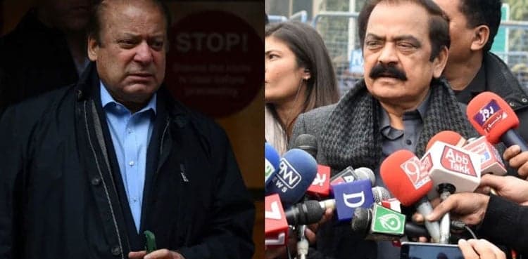 PML-N formulated strategy for Nawaz Sharif cases: Rana Sanaullah