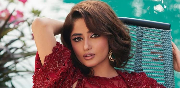 Another day, another slay: Sajal Aly raises glam quotient in sheer drape