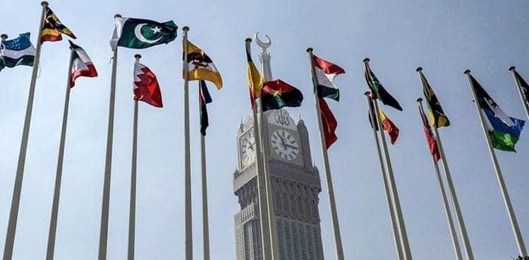 Gaza war: FM Jilani in Jeddah to attend OIC extraordinary meeting
