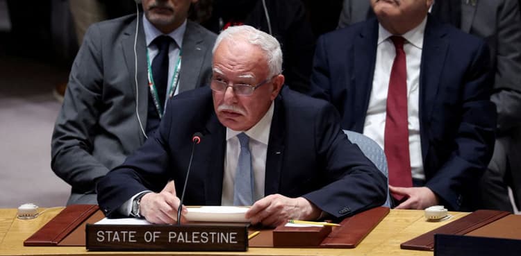 Israel is waging 'war of revenge' on Gaza: Palestine minister