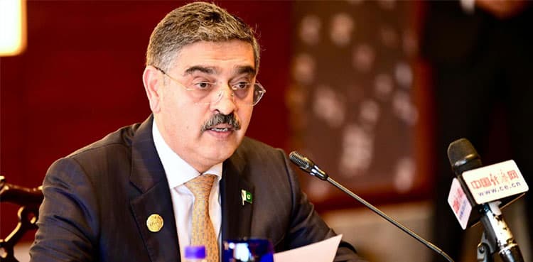 PM Kakar invites Chinese companies to invest in Pakistan’s solar parks  
