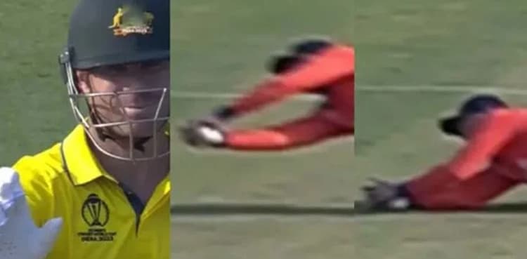 David Warner becomes umpire during Netherlands clash