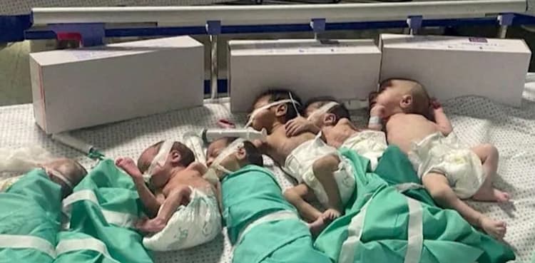 Premature babies in grave peril at Gaza's Al Shifa hospital
