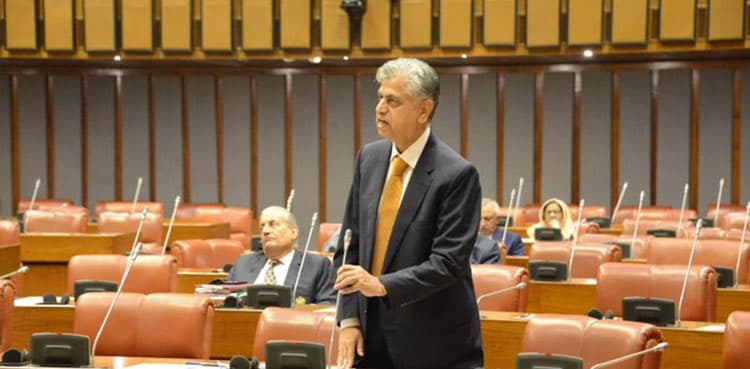 'Entire Pakistani nation stands united on Palestine issue'