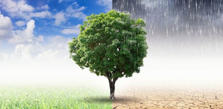 Pakistan's Climate Crusade: Igniting Urgency in Global Action