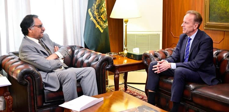 Swedish ambassador calls on FM Jilani