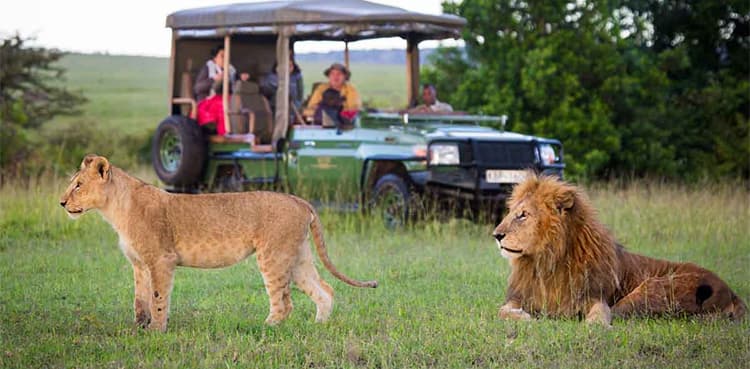 Visitors to Kenya will no longer require a visa