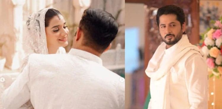Imran Ashraf's post goes viral and comments are the reason