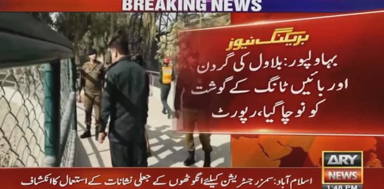Autopsy reveals details of Bahawalpur man's death by tigers 