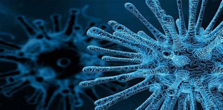 Polio virus detected in environmental samples of Karachi, Quetta