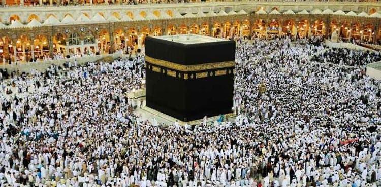 Hajj 2025: Pakistani pilgrims to spend over Rs9.94bln on sacrificial animals