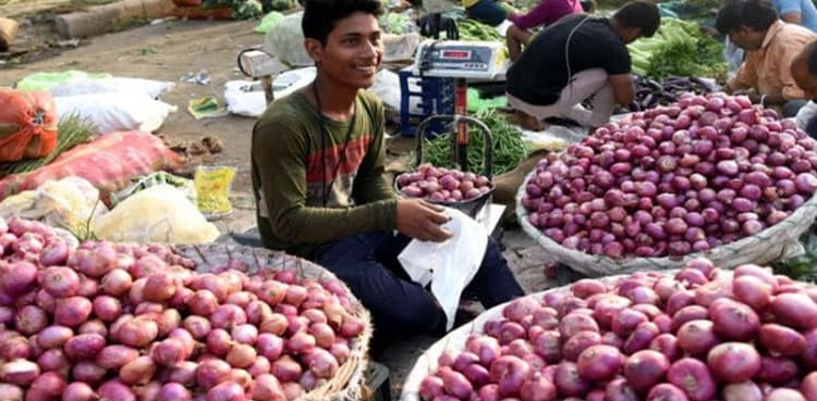 Onion prices surge to Rs240 per kg on massive exports