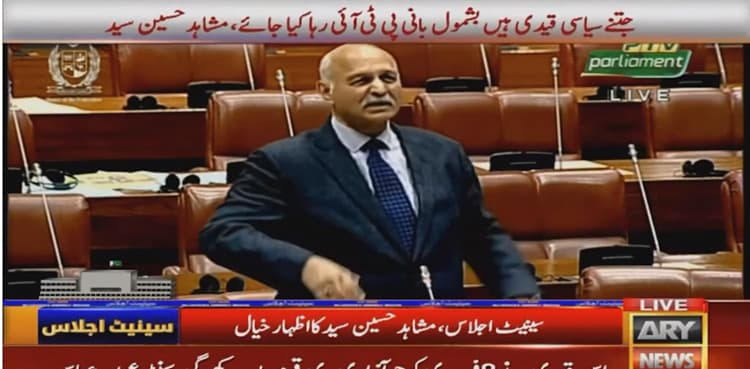 Senator Mushahid demands general amnesty for political prisoners
