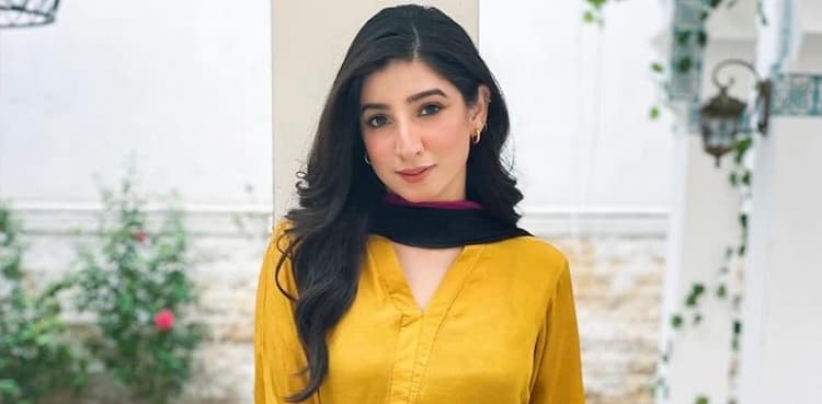 Mariyam Nafees reveals was offered THIS character in 'Jaan-e-Jahan'