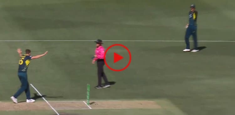 Australia react in bizarre fashion after run-out denied in WI T20I