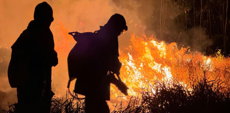 Adapting to climate change