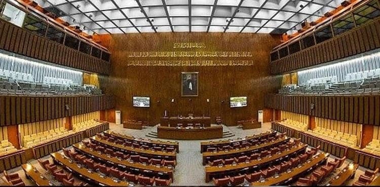 Digital Nation Pakistan Bill 2025 passed from Senate 