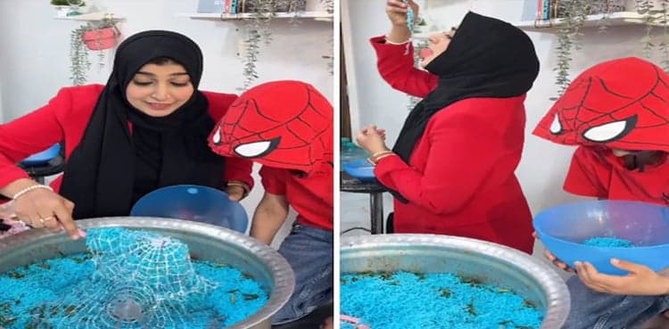 VIRAL: Indian chef makes spiderman biryani; internet divided