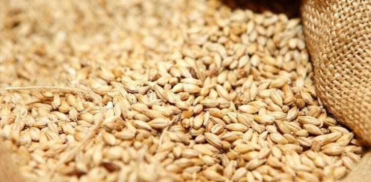 Pakistan: Wheat import caused $1 bln loss to national kitty
