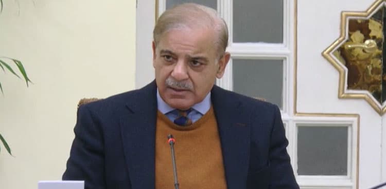 Privatization of loss making entities priority of govt: PM