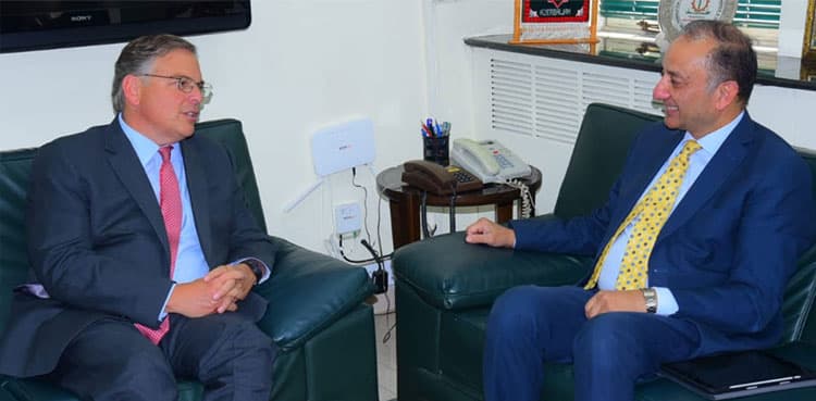 US Ambassador, Musadik Malik discuss investment opportunities
