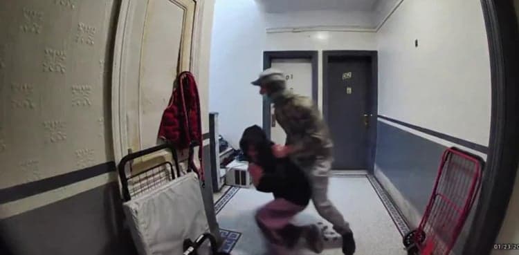 Mom fights off daughter's would-be kidnapper down 4 flights of stairs