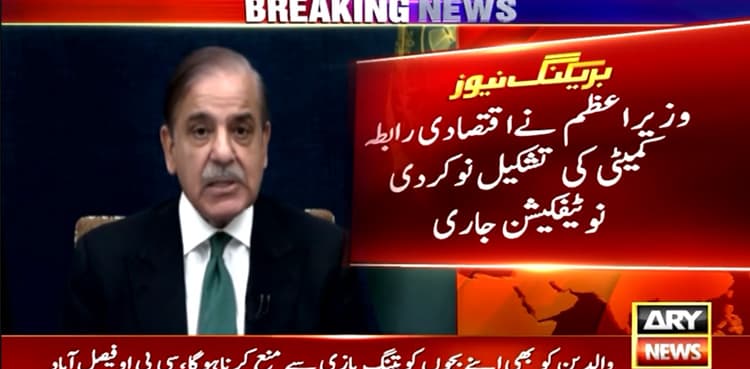 PM Shehbaz reconstitutes ECC with Aurangzeb as its chairman