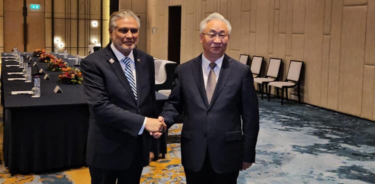 China to assist Pakistan in stabilizing financial situation: Vice PM 