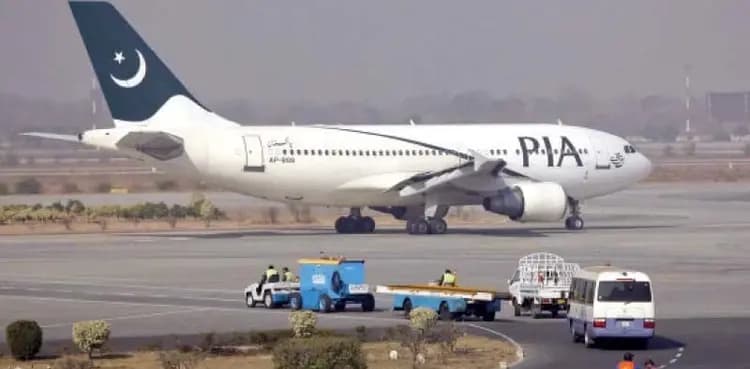 '10 companies show interest in buying PIA'