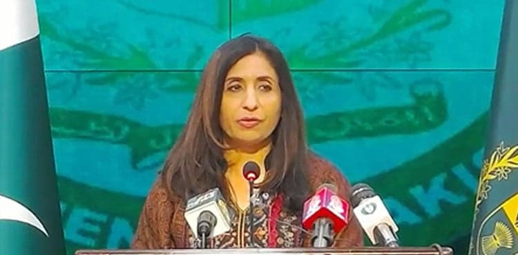 Pakistan regrets US veto resolution on Palestine’s UN membership bid: FO