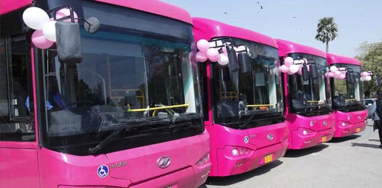 Pink Bus service routes announced in Islamabad