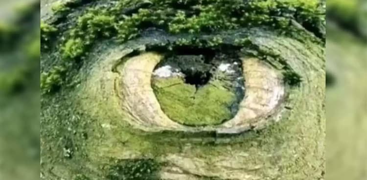 This optical illusion personality test can reveal your biggest fear