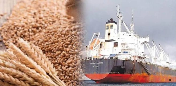 Complaint filed with NAB seeking probe into wheat scandal