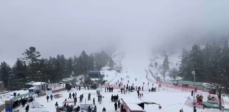 7 killed as van plunges into gorge in Malam Jabba