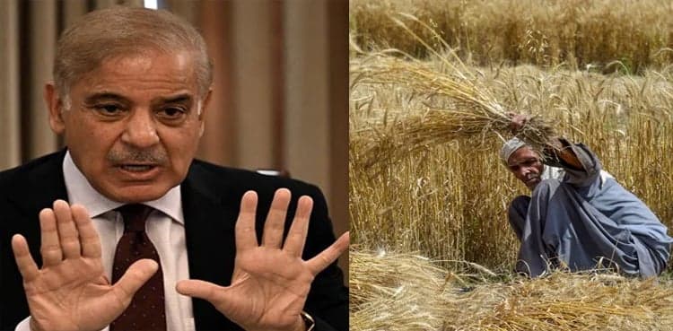 "Shehbaz Sharif was Minister of Food Security during wheat imports"