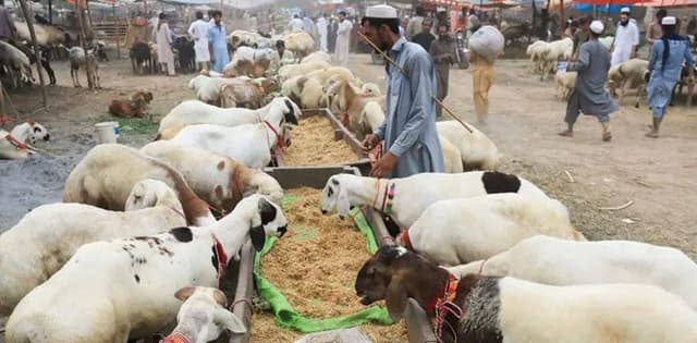 Section 144 imposed to ensure cleanliness, maintain law and order on Eid Ul Adha