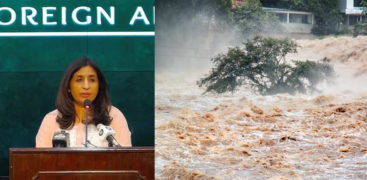 Pakistan expresses sorrow over loss of lives in Afghanistan flash floods