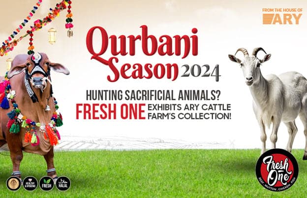 Hunting Sacrificial Animals? Fresh One Exhibits ARY Cattle Farm’s Collection!